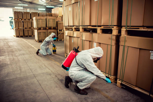 Best Pest Prevention Services  in Pecan Grove, TX