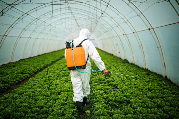 Reliable Pecan Grove, TX Pest Control Solutions