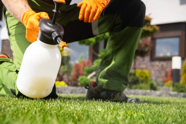 Best Wildlife Control Services  in Pecan Grove, TX