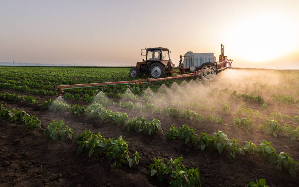 Best Pest Removal Services  in Pecan Grove, TX