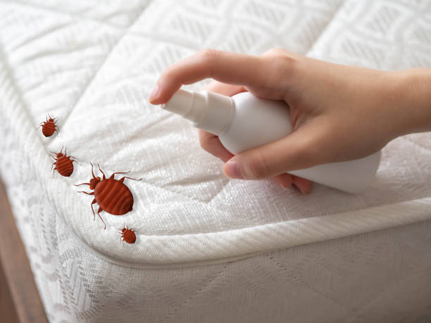 Best Residential Pest Control  in Pecan Grove, TX